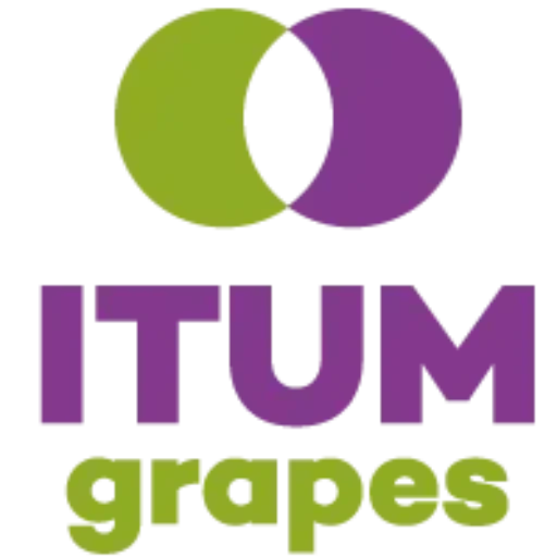 Proyectos Itum 2005, S.L.