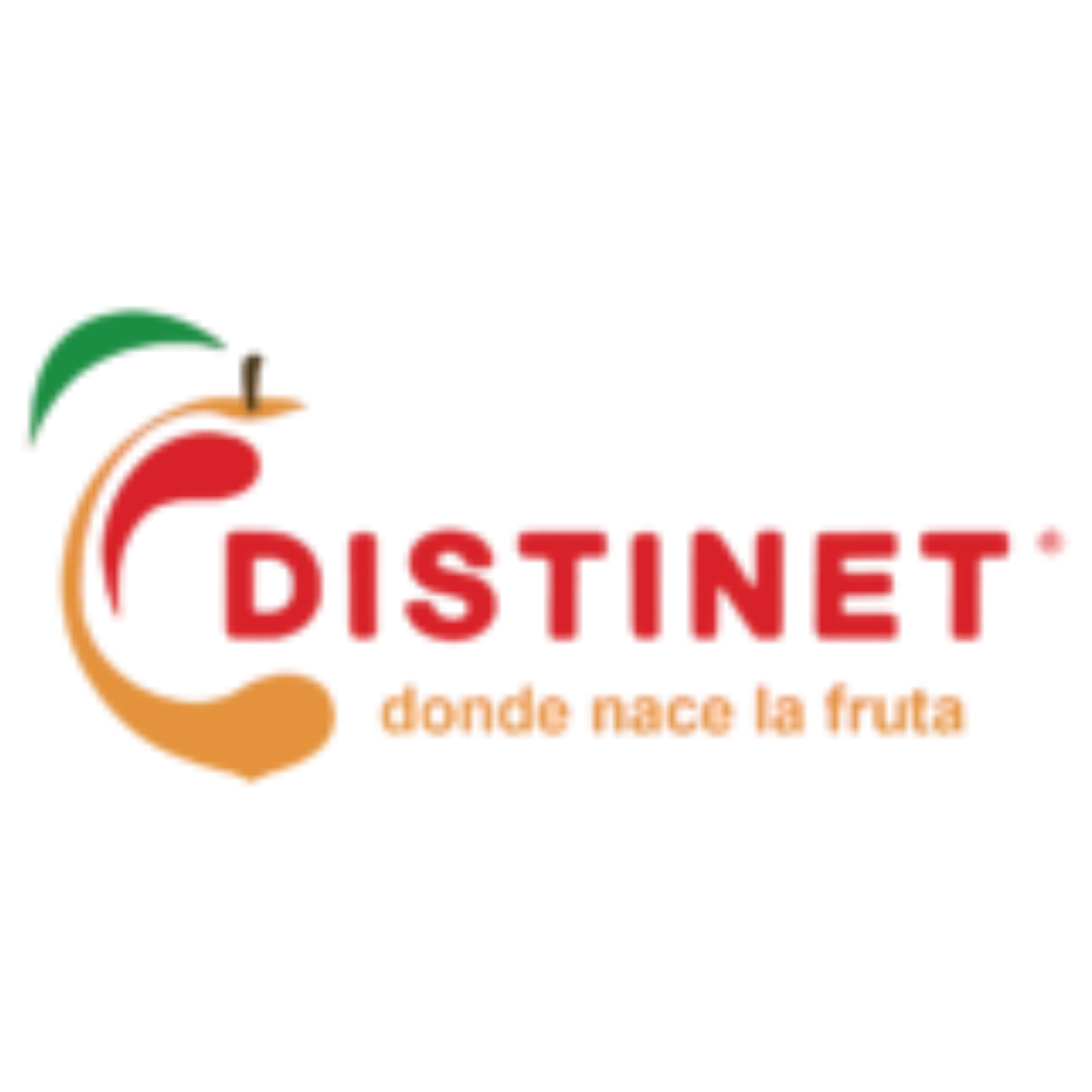 Distinet Murcia S.L.