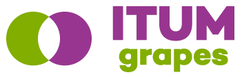 ITUM grapes